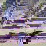 ถนอมนวล ทุมพัด profile icon