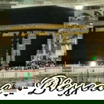 Siti Aisyah profile icon