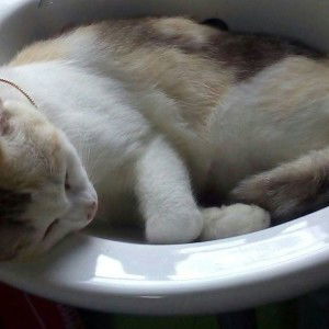 Haryani Binti Mohd Yusof profile icon