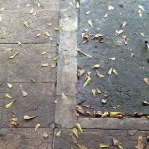 Kiki Sidqiyyah profile icon