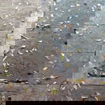 Kiki Sidqiyyah profile icon