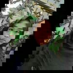 Sinta Fitria profile icon