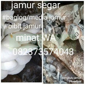 Rianvina Jamurtiram profile icon