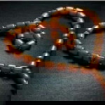 Nina 15 profile icon