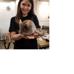 Sara Ardelia profile icon