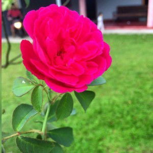 Itsnainiyah profile icon