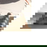 Sudarat P. profile icon