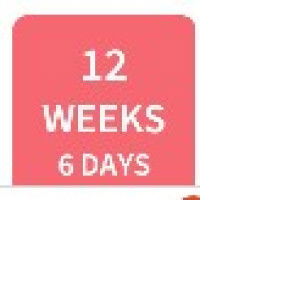 ms.agao profile icon