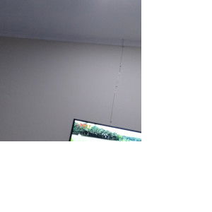 senjani profile icon