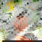 Lilin Nur Indah Sari profile icon