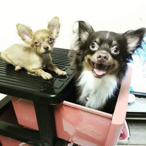 Nupin Tharmsinee profile icon