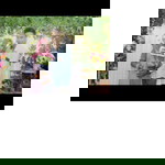 Agnestia Siska profile icon