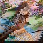 You Yah profile icon