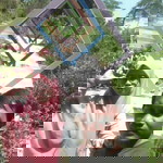 Siti Nurhayati profile icon