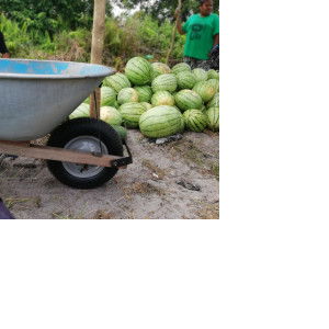 Zulizan profile icon