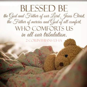 Phoebe P. Auditor profile icon