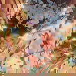 Lovely Sarabia Cajote profile icon