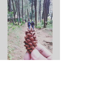 Nadya Amanda profile icon