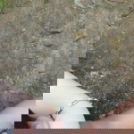 Lương Bốn profile icon