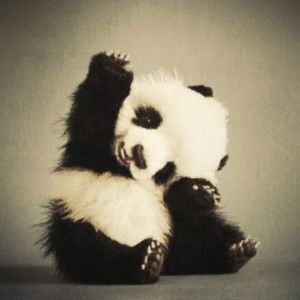 Permatahati Desi profile icon