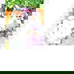 Meila Sarry profile icon