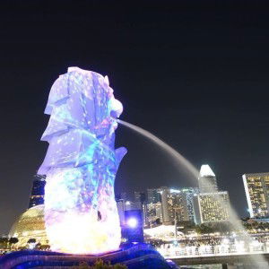 Karen Lim profile icon