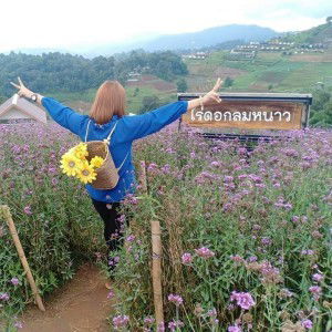 สุนิสา ตรีสิงห์ profile icon