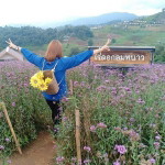 สุนิสา ตรีสิงห์ profile icon