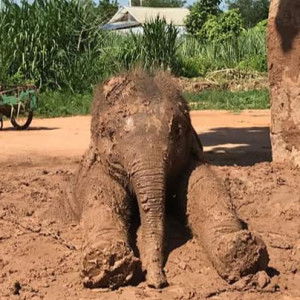 ฟะ เริน'เฟิร์น profile icon