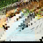 Venty Nurmala profile icon