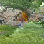 Alvhiank Pratama profile icon