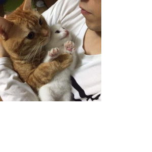 Nightwisher profile icon