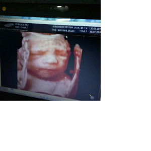 Lyana Ysf profile icon