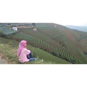 Aam Amini profile icon