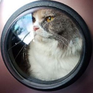 Eka Purnama profile icon