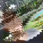 Hannah Mae Bandila Tamba profile icon