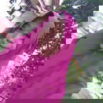 Erina Erviana profile icon