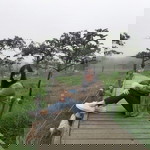 Jan Patisen profile icon