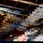 บอย ฟรีดรอม profile icon