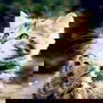 rezkiwati eky profile icon