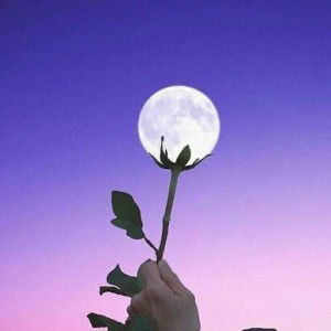 Resti Pauzia profile icon