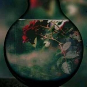 Thosa profile icon
