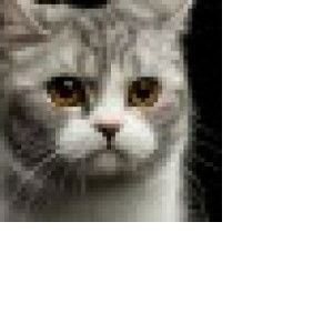 riski fitria profile icon