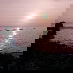 Dhin C'Phiby profile icon