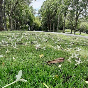 คุณนาย หมื่นลี้ profile icon