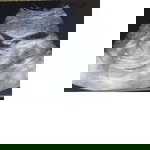 1stym mom profile icon