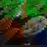 Daba Nosiram profile icon