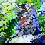 Riska Septyani profile icon