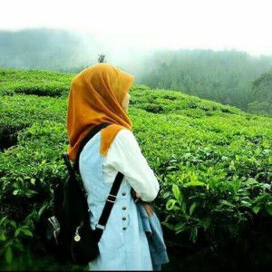 Mufidah profile icon