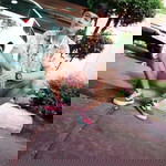 NuttaPong Bootdeeduang profile icon